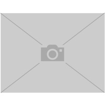 Плиты газоэлектрические бытовые GEFEST ПГЭ 6110-01 0300