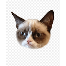 Клей д/сист. теплоизоляции полимерминеральный WUNDER, 20кг