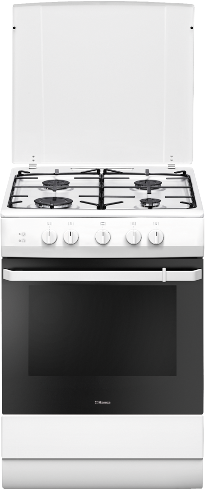 Плита газовая HANSA FCGW61009