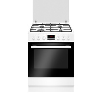 Кухонная плита Hansa FCMW68229