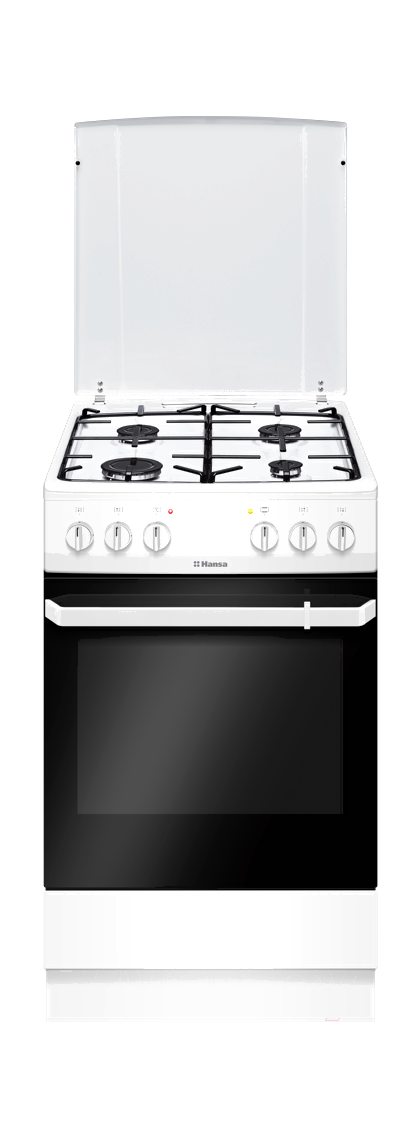 Плита газоэлектрическая Hansa FCMW580009