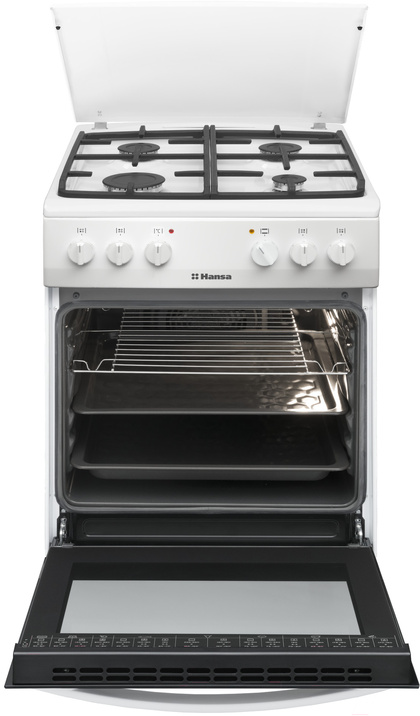 Плита газовая с электрической духовкой HANSA FCMW58040