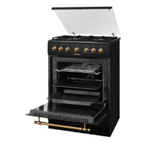 Плиты газовые с электрической духовкой HANSA FCMA68109