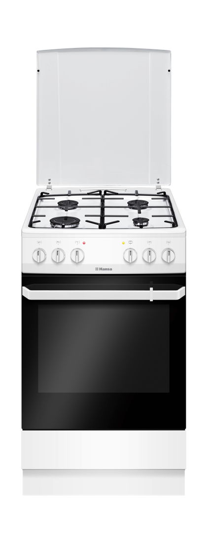 Плита газоэлектрическая Hansa FCMW580009