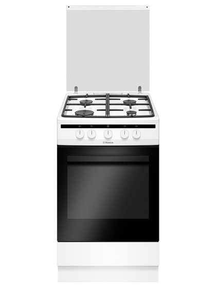 Кухонная плита Hansa FCGW580977